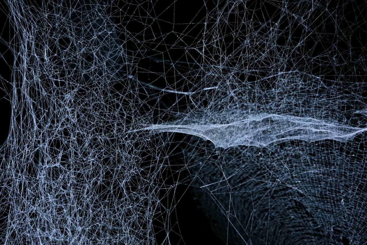 Matrix-Design mit grünen Zahlen – Inspiration für Tech-Webdesign oder Cyber-Design